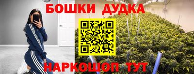 прущие крисы Анжеро-Судженск